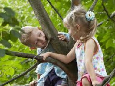 billeder af børn i træer